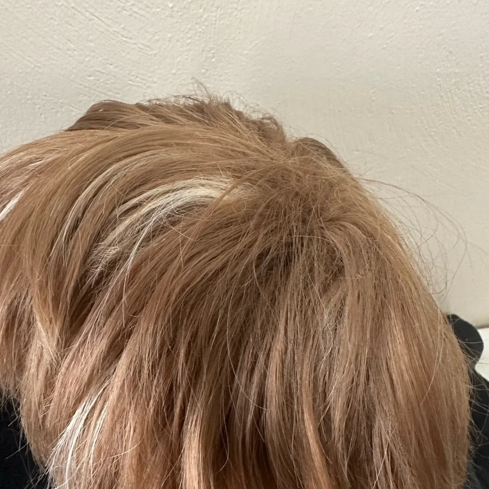 Natural Wig Shag with Highlights
